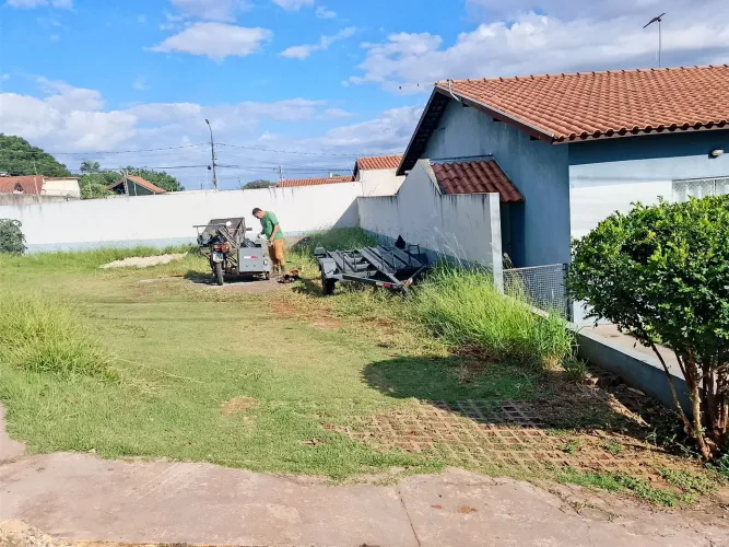Jardinagem em geral em campo grande ms