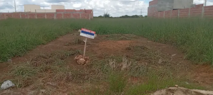 Vende-se Terreno 6x30 Loteamento Nilton Júnior 