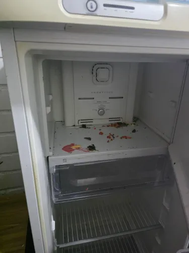 Geladeira Electrolux frostfree