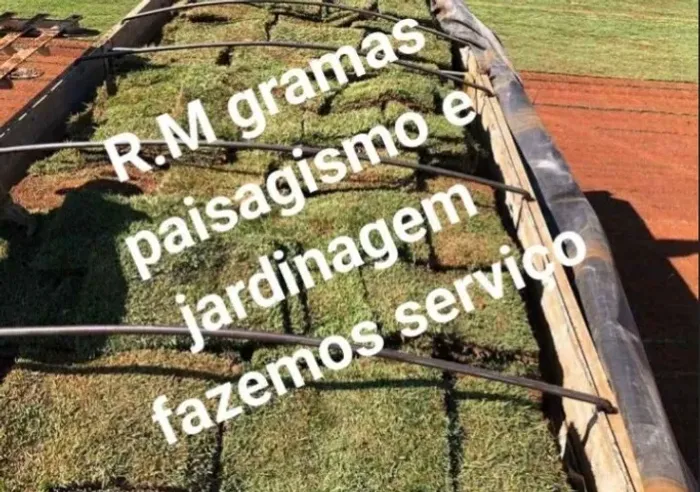 Grama Batatais Produto Premium Sem Atravessador 