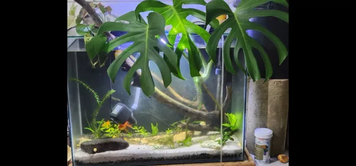 Aquario 80l