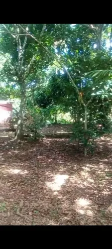 Rio preto