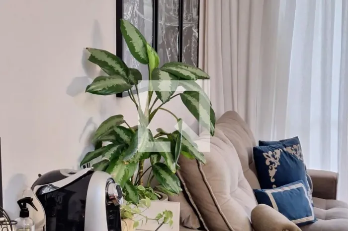 Apartamento à Venda - Jardim Esperança, 3 Quartos, 71 m2