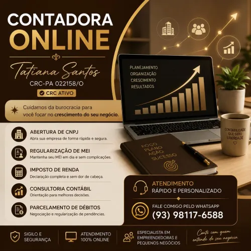 Contadora Online 