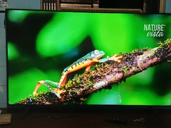 TV LED SAMSUNG 4K 55 polegadas