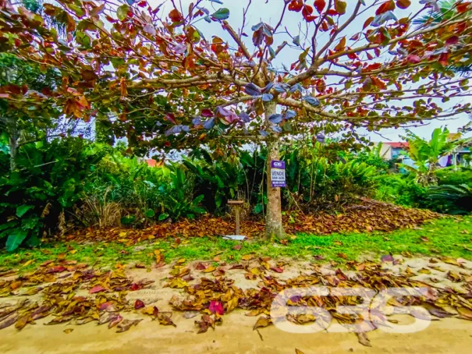 Terreno | São Francisco do Sul | Ervino