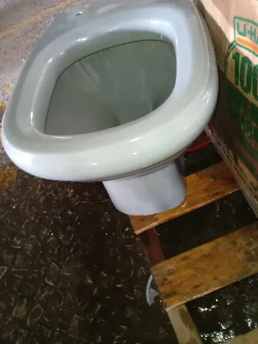 Vaso sanitário azulado