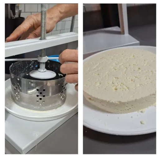 Maquina Prensa Queijo Redonda 2 Formas 1kg 500g Zatti Inox