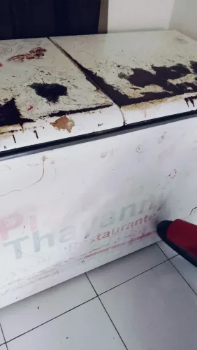 Vendo um freezer, ele está com vazamento de gás,