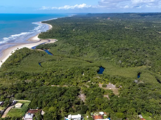Terreno pé na areia, Praia do Sargi. 40 m de praia, rio Sargi e 21.200 m2