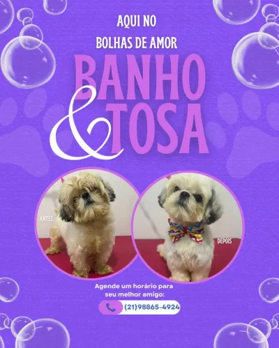 Banho e tosa 