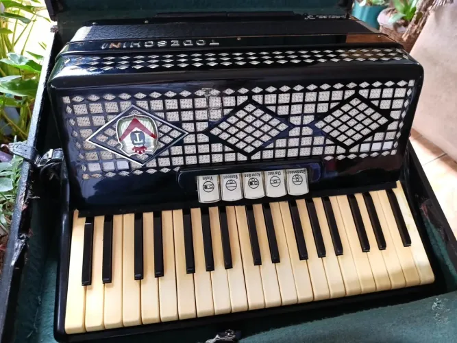 Vende se Sanfona ?