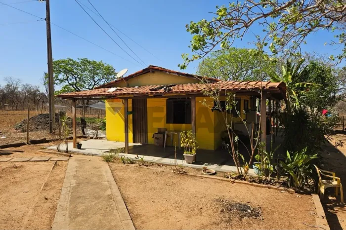 Fazenda à Beira do Rio: Vida Tranquila no Campo