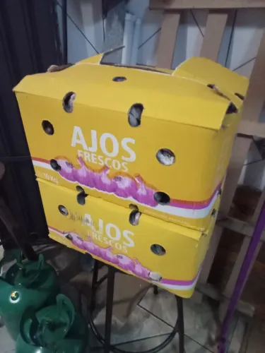 10 Caixa de alho 
