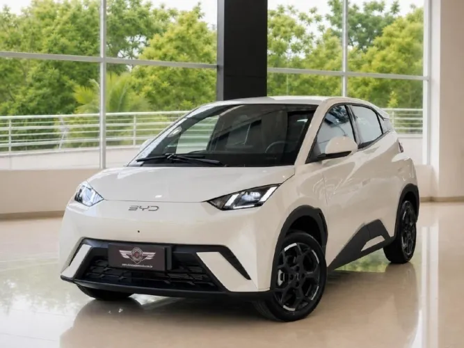 BYD Dolphin Mini (Elétrico) 2025