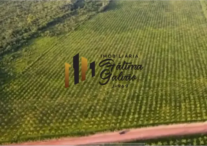 Vendo Fazenda de Açaí em São João da Ponta