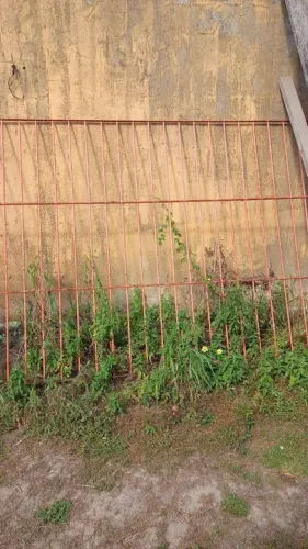 Equipamentos para mercadinho 