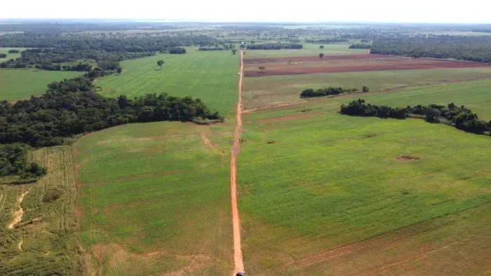 Fazenda de 257 Alqueires em Formoso do Araguaia-TO