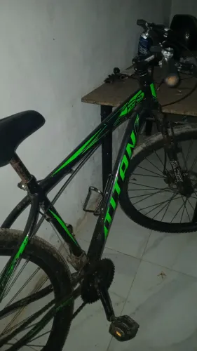 LBike aro29 