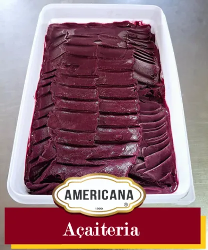 Pote/Balde de 5 Litros - Açaí