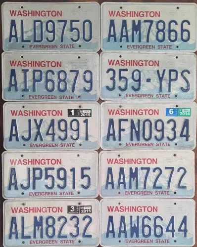 Placa de carro Washington Original 
