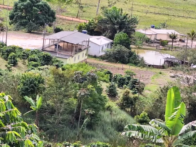 Fazenda/Sítio/Chácara para venda possui 36300 metros quadrados