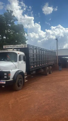 Gaiola boiadeira de madeira para truck