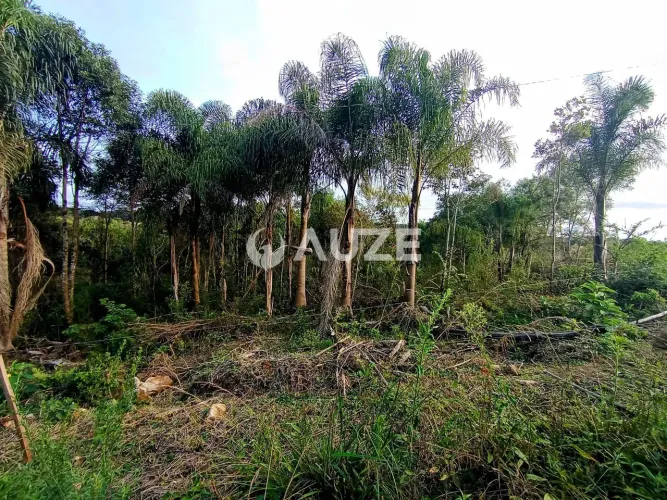 Excelente Chácara à venda, Colônia Murici, São José dos Pinhais, PR