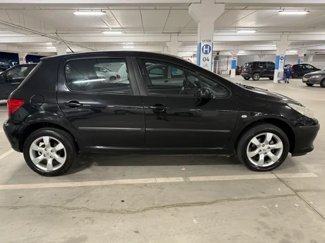 Peugeot 307 1.6 Flex Raridade