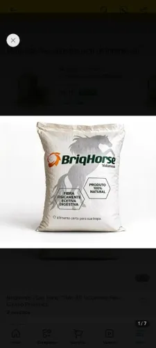 BriqueHorse