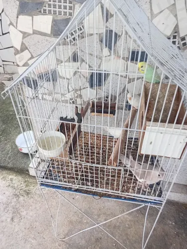 Vende-se 