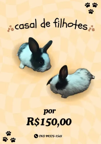 Coelho