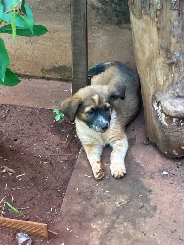 Doação