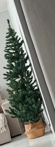 Árvore de natal