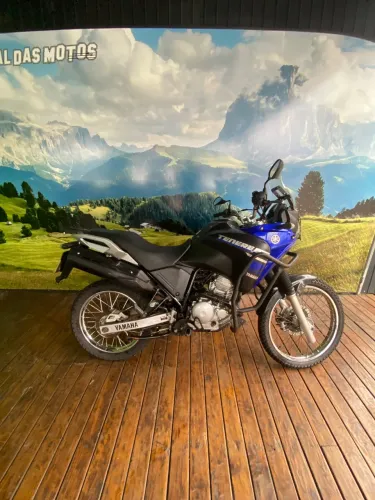 XTZ 250 TENERE/TENERE BLUEFLEX