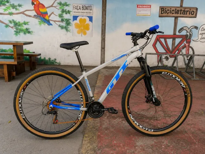 Bk aro 29