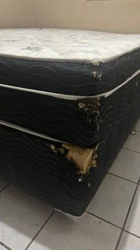 Cama Queem ortobom