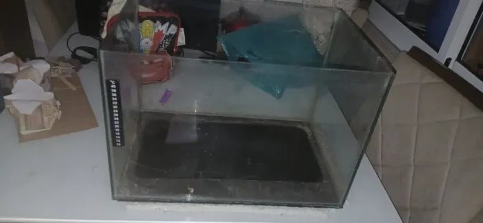 Aquário 