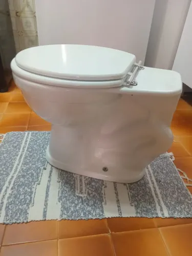 Vaso Sanitário Com Tampa de Madeira