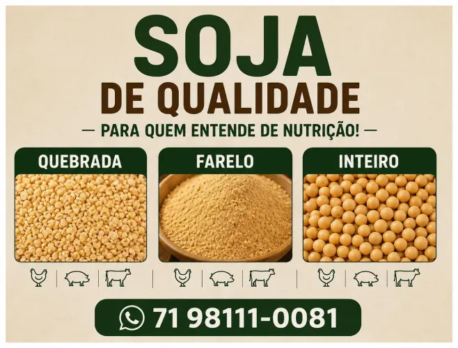 Sacas de soja 50kg 