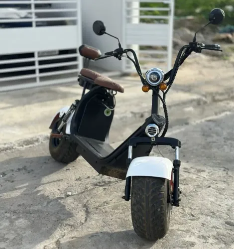 Motocicleta elétrica