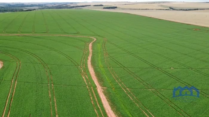 Sítio/Fazenda à Venda, 690 alqueires por R$ 250.000.000 Cód. ch1890