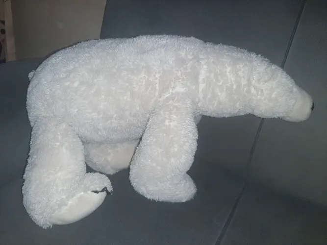 Urso de pelúcia.