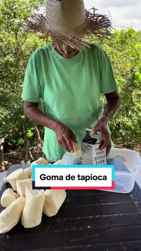 Goma de tapioca pura