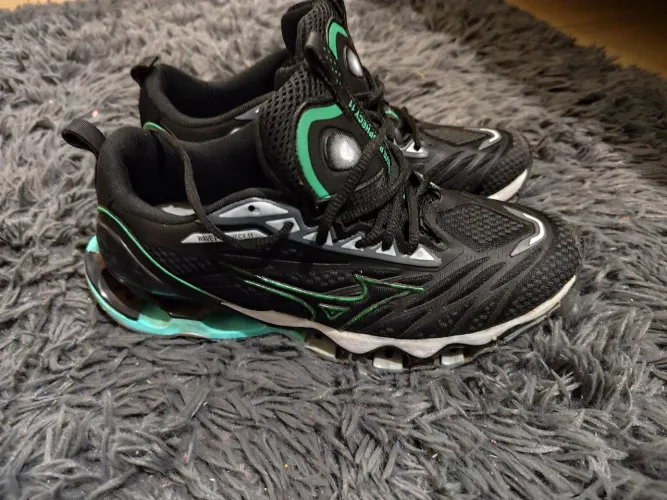 Tenis