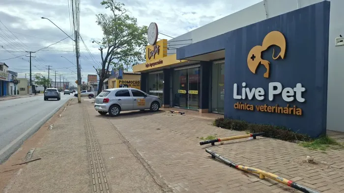 Taxi Dog Live pet shop