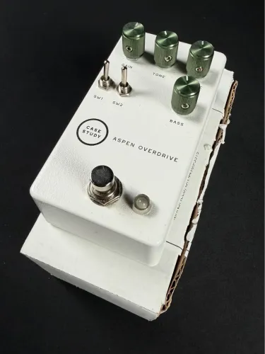 Case Study Aspen White