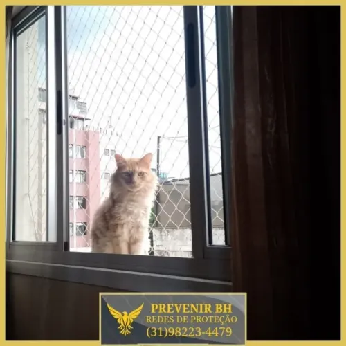rede proteção para gatos