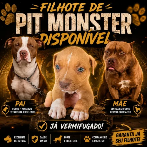 Filhote de Pit monst