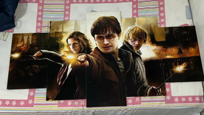 Quadro decorativo HARRY POTTER - colecionador